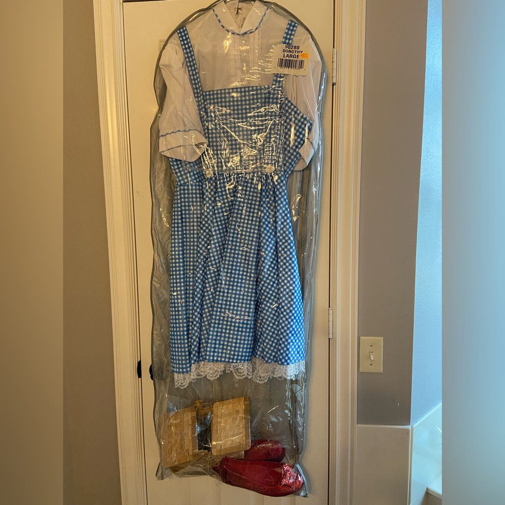 Dorothy costume from Wizard of Oz